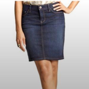 Banana republic Stretch Denim A-line Skirt (6)